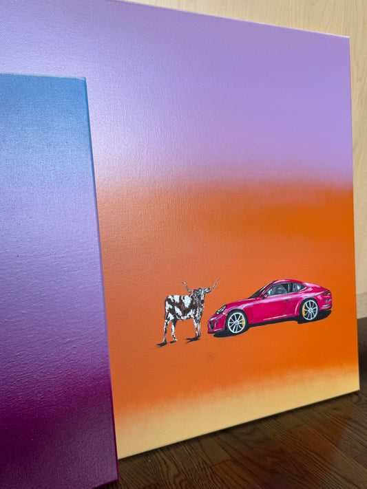 WELCOME TO TEXAS PRINT PINK