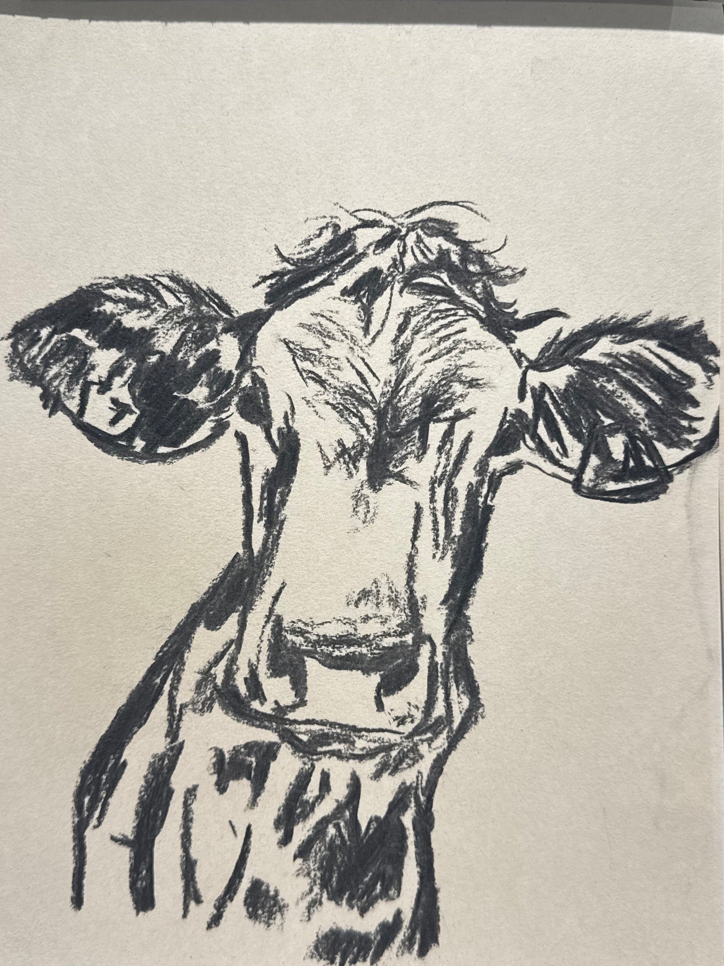 HAPPY COW